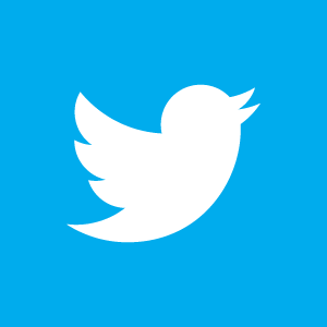 Twitter Main Icon